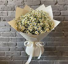 Букет цветов из:  Ромашки #REPLACE_PRED# Семендере