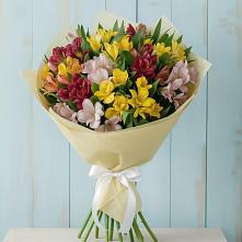 Букет цветов из:  Альстромерии в Семендере