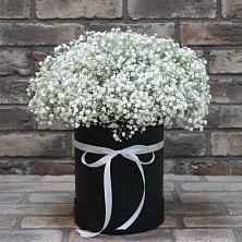 Цветочная композиция из Гипсофила в шляпной коробке в Семендере